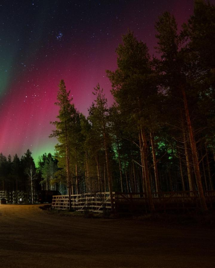 Arctic Snowhotel & Glass Igloos Sinettä Exteriér fotografie